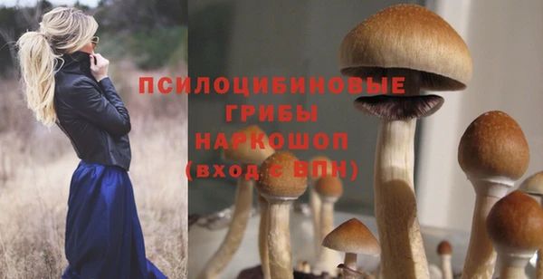 крисы Зеленодольск