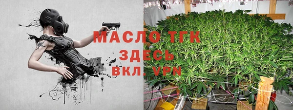 тгк Инта