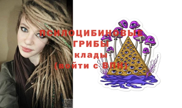 крисы Зеленодольск