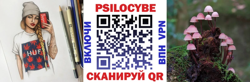 Купить закладки  Заволжск  Псилоцибиновые грибы Cubensis 
